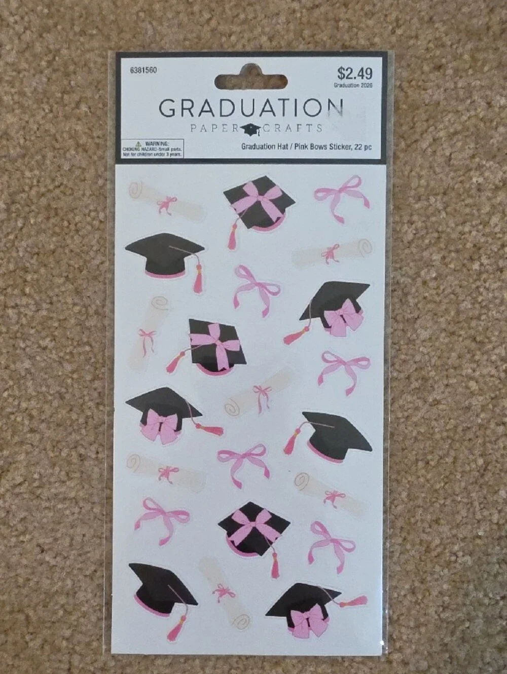 Graduation Silicone Mold Set with Silver/White Sprinkles And Other Decor.